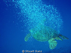 Out Gassing by Stuart Ganz 